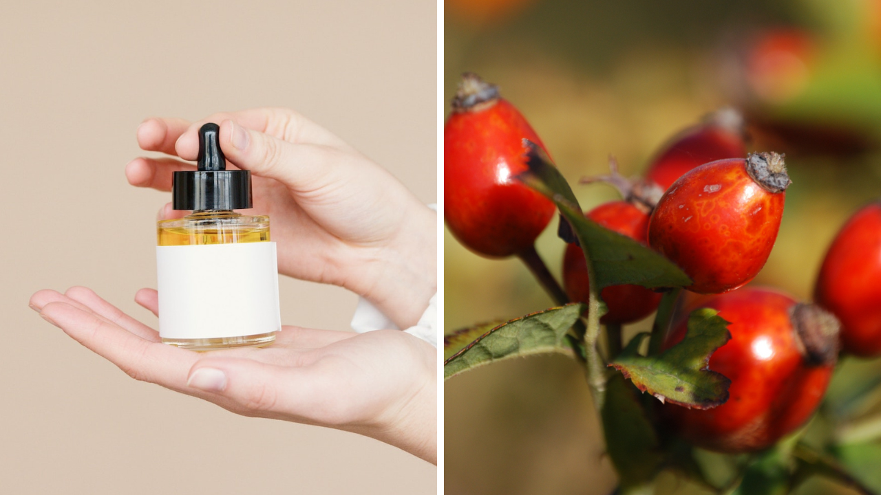 Does Rosehip Oil Clog Pores? Here's What Science Says!