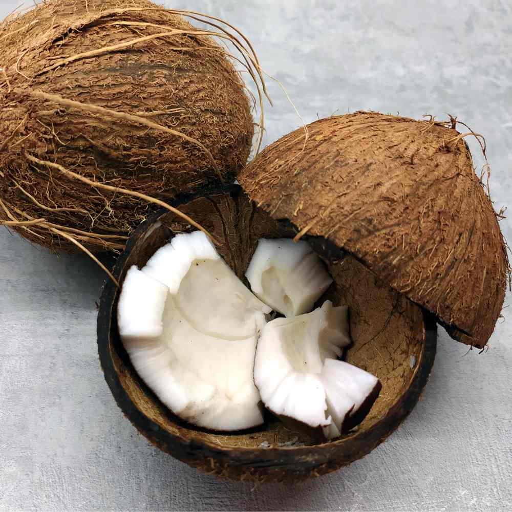 Does Coconut Oil Clog Pores A Dermatologist Answers